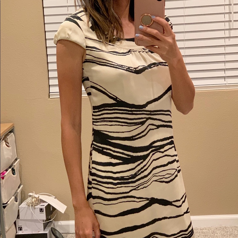 H&M Satin Zebra Print Mini Dress